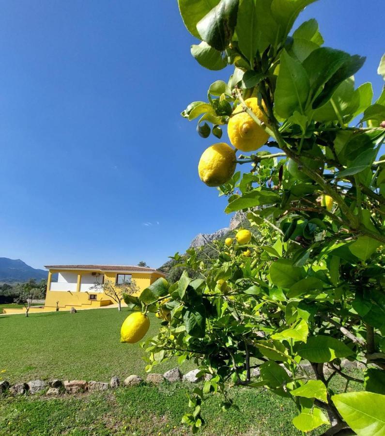 Indipendente Con Piscina Uso Esclusivo Internet Illimitato Villa Siniscola Bagian luar foto